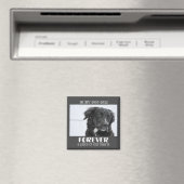 Foto van Pet Memorial Magneet (Insitu (Vaatwasser))