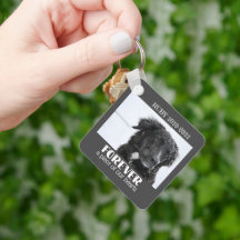 Foto van Pet Memorial