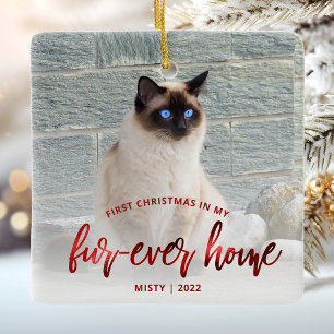Foto van Pet met eerste kerstfeest voor altijd Hom Keramisch Ornament