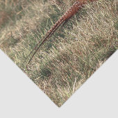 Foto van Pheasant Tissuepapier (Detail)