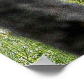 Foto van Pinto Paint & Forest Horse Poster (Hoek)