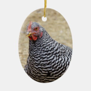 Foto van Plymouth Barred Rock Hen Keramisch Ornament
