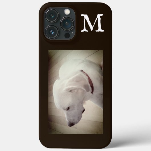 Foto van Proud Dog Profile Dark Chocolate Brown Case-Mate iPhone Case (Achterkant)