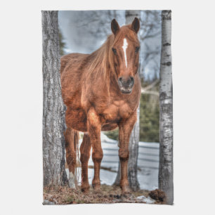 Foto van Red Dun Ranch Horse Animal-lover Theedoek