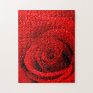 Foto van Red Rose Background Legpuzzel