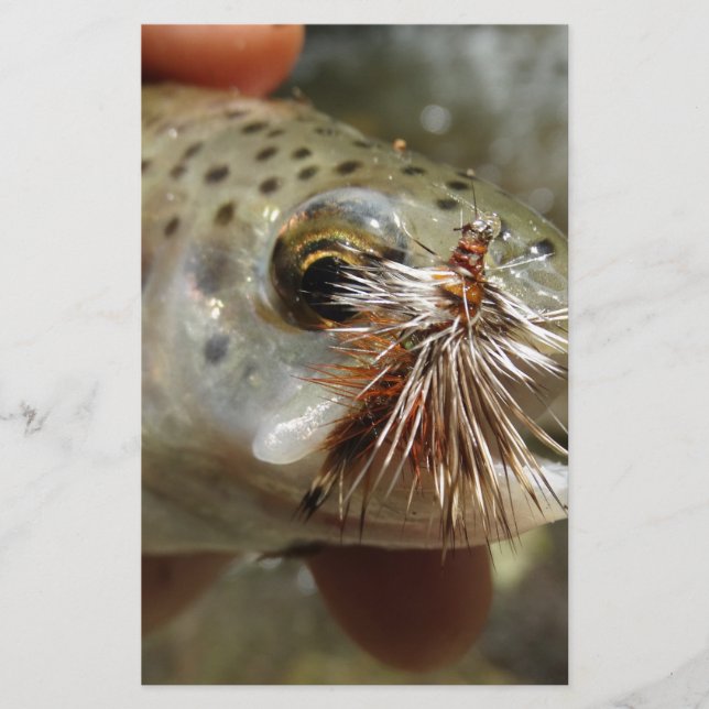 Foto van regenboogforel (Voorkant)