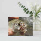 Foto van regenboogforel briefkaart (Staand voorkant)