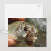 Foto van regenboogforel briefkaart (Voorkant / Achterkant)