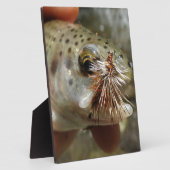 Foto van regenboogforel fotoplaat (Zijkant)