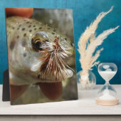 Foto van regenboogforel fotoplaat (Zijkant)