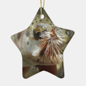 Foto van regenboogforel keramisch ornament (Links)