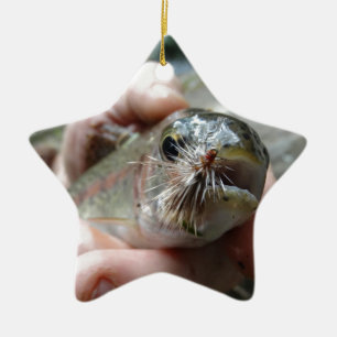 Foto van Regenboogforel Keramisch Ornament
