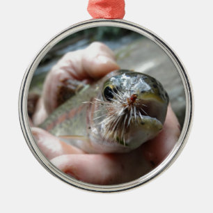 Foto van Regenboogforel Metalen Ornament