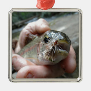 Foto van Regenboogforel Metalen Ornament