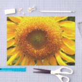 Foto van reuzengele mammolyse tissuepapier (Craft)