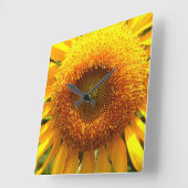 Foto van reuzengele mammolyse vierkante klok (Hoek)