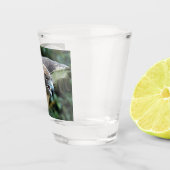 Foto van Roodstaartbuizerd Roofvogel Shot Glas (Rechts)