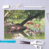 Foto van roze flamingo Flock Wildlife Tissuepapier (Craft)