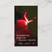 Foto van Roze kerstcacti Bloom Visitekaartje (Voorkant)