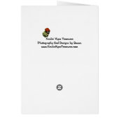 Foto van roze lentesbloem (Achterkant)