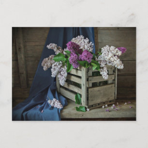 Foto van Rustic Paars en White Lilacs Briefkaart