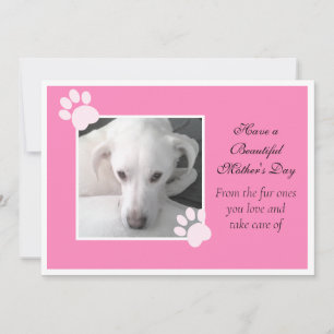 Foto van Schattige Dog Pink Moederdag Paw Lijst Feestdagenkaart