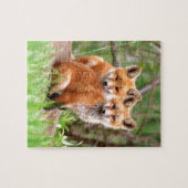 Foto van schattige rode vosskits die samen zitten legpuzzel (Horizontaal)