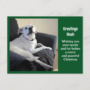 Foto van Schattige Talking Dog Green Christmas Briefkaart