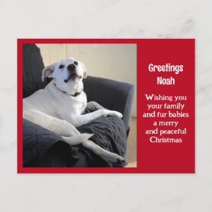 Foto van Schattige Talking Dog Red Christmas Briefkaart