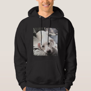 Foto van Schattigee Lazy White Dog Hanging Out Met Hoodie