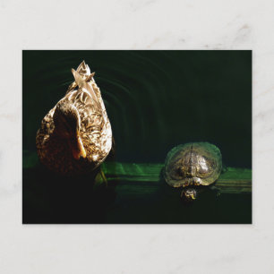 Foto van schildpad en duck briefkaart