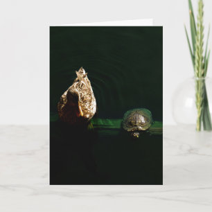 Foto van schildpad en duck kaart