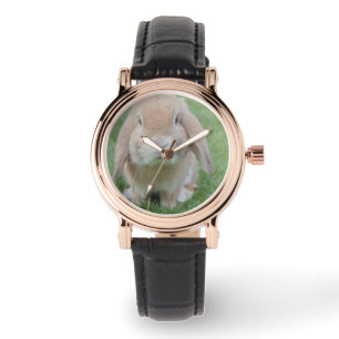 foto van serieuze bunny horloge