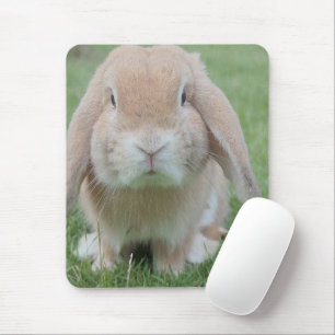 foto van serieuze bunny muismat