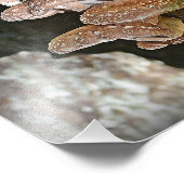 Foto van Shiitake Mushroom Afdruk (Hoek)