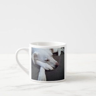 Foto van Sleeping Dog Speedy Recovery Get Well Espresso Kop