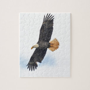 Foto van Soaring Bald Eagle Wildife Legpuzzel