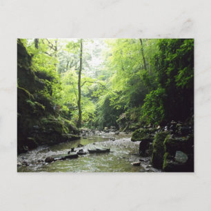 Foto van St. Nectans Glen Cornwall Briefkaart