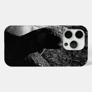 Foto van Tortoise in zwart-wit iPhone 15 Pro Case