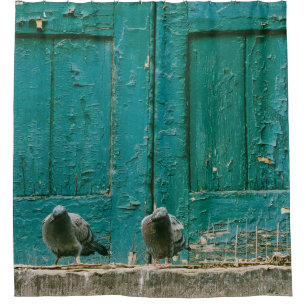 FOTO VAN TWEE GRAY-PIGEONS OP GRIJS CONCREET DOUCHEGORDIJN