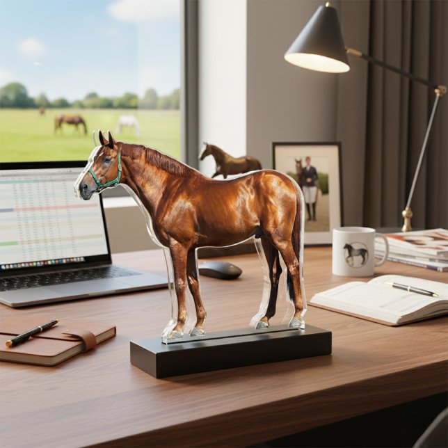 Foto van uw paard Acrylstatus Staand Fotobeeldje (Your Horse Photo Acrylic Statuettes Cutout)
