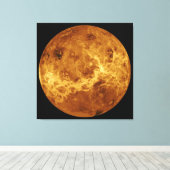 Foto van Venus Canvas Afdruk (Insitu (Houten vloer))