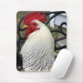 Foto van vijf tenes Rooster Muismat (Met muis)