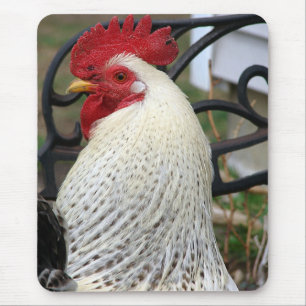 Foto van vijf tenes Rooster Muismat