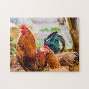 Foto van vogels Beste foto's van wilde dieren Legpuzzel