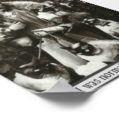  foto van Vrouw en 5 Siamese katten, Poster (Hoek)