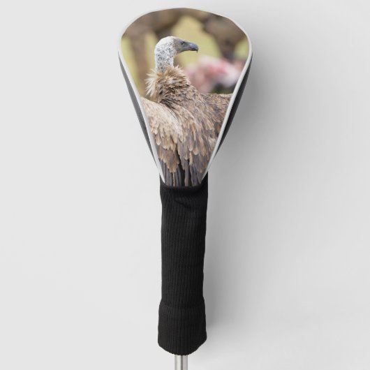 Foto van Vulture and Hyena Golfheadcover (Voorkant)