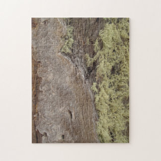 Foto van Weathered Ponderosa Pine Tree Bark Legpuzzel