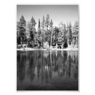 Foto van weerspiegeling van Ponderosa Pines Afdruk