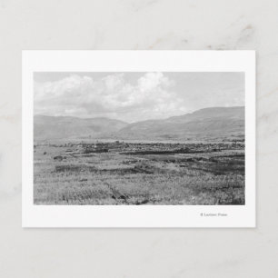 Foto van Wenatchee, WA Town Uitzicht en Orchard Briefkaart